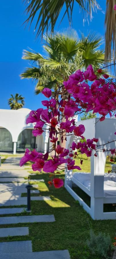 قمرت Maison - Dar Ouled Soltane المظهر الخارجي الصورة